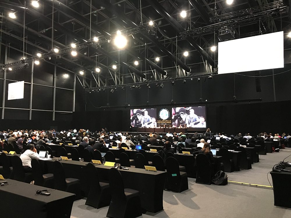 Ramsar Convention COP13, Dubai 2018